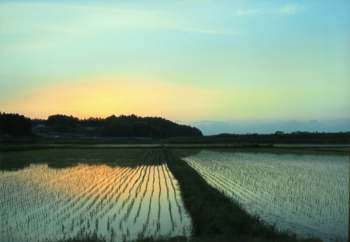 夕まぐれの代満(千葉菜津子, 一関工業高等専門学校3年生)