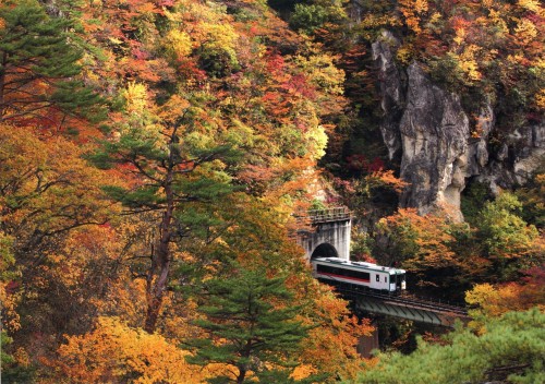 彩の架け橋 （色川 巧眞，東北生活文化大学高等学校3年生）