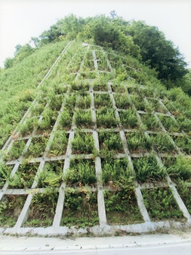 三次元模様 （駒林 大貴，山形電波工業高等学校2年）